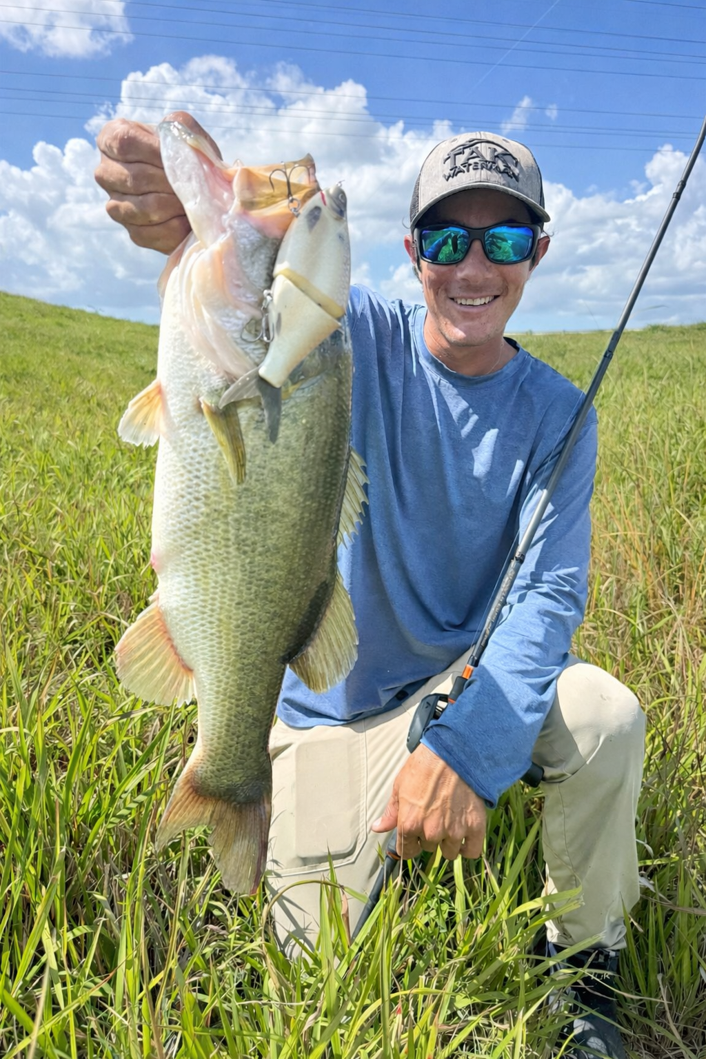 175 Shiner