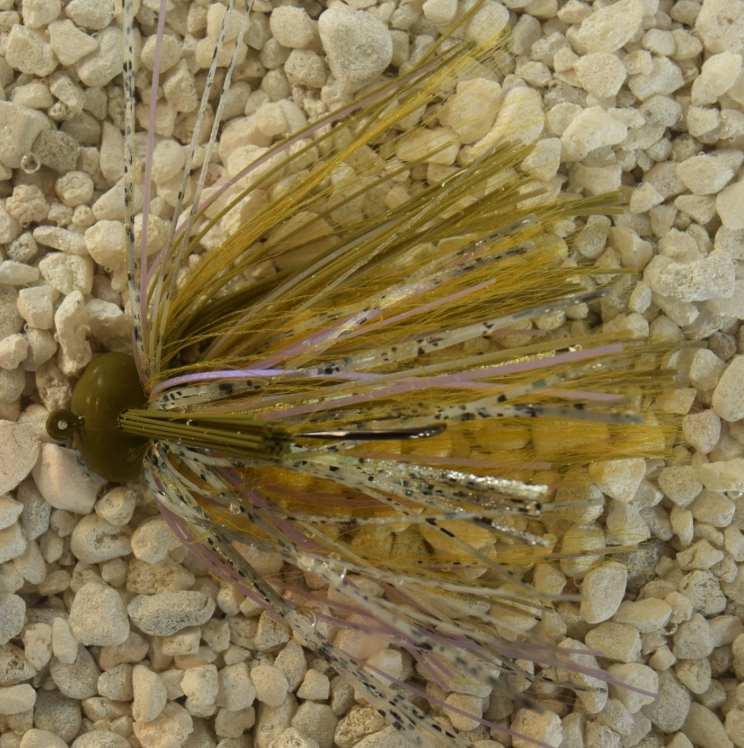 Bluegill FB